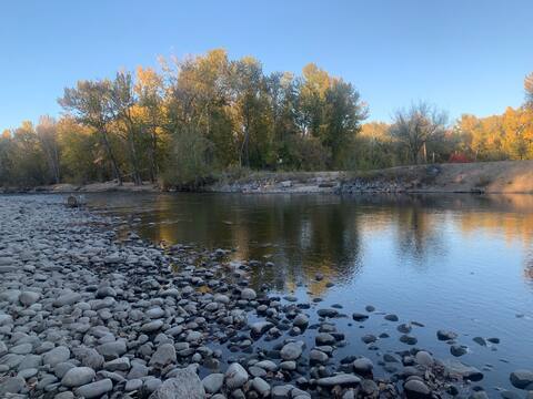 The river at golden hour in autumn, cobbles in the foreground and the far bank turning yellow
