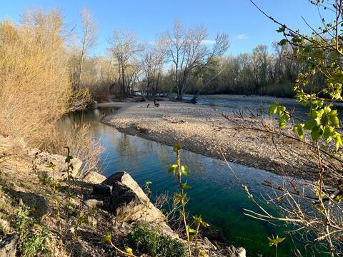 A quiet side channel of the Boise River in early spring, gravel bar and bare cottonwoods