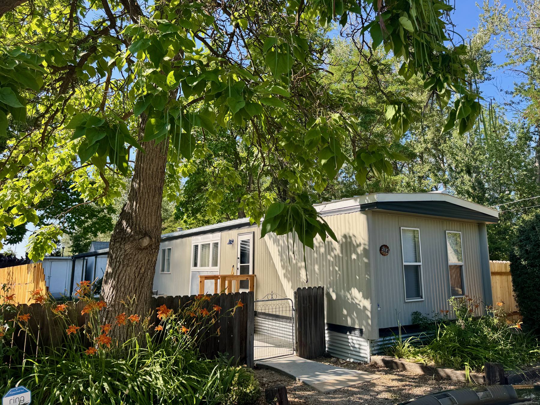 The Oasis from the street, cream siding under a mature catalpa with daylilies along the fence
